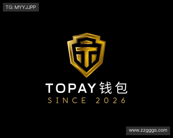 了解TOPAY钱包
